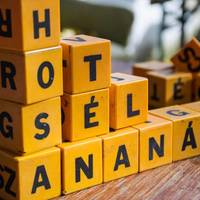 Ananas Hostel