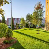 Apartment Richy Brasov