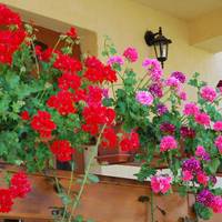 Casa Anca Boutique Hotel