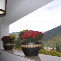Pension Tv Condor