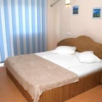 Pension Andronic