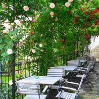 Residenza Dutzu-Boutique Hotel