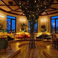 Hotel Coandi