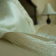 Hotel Carol
