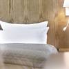 Nordic Hotel Domicil