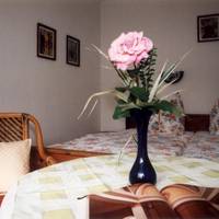 Pension Alter Zausel 