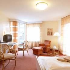 Hotel Traube am See 