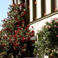 Bio-Hotel Reingard 