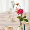 Hotel Aigner