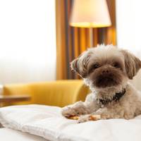 arcona Hotel Baltic 