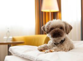 arcona Hotel Baltic 