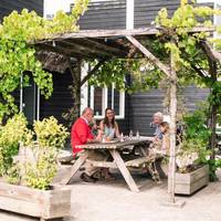 Stayokay Dordrecht - De Hollandse Biesbosch 