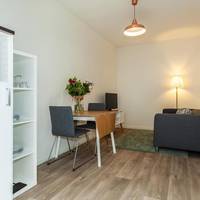 Short Stay Apartment Museumpark 
