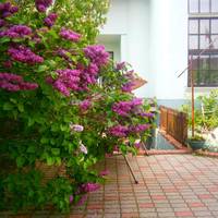 Nemunas Tour Guesthouse 