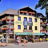 David Hotel Pension 