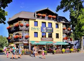 David Hotel Pension 