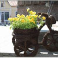 Summer Hotel Rauma 