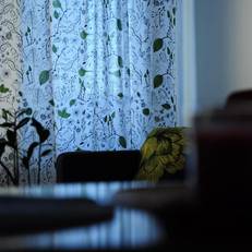 Aliisa's Apartment 