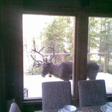 Chalet Aurora 