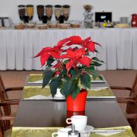 Hotel Dvorak 
