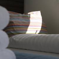 Hotel Faber 