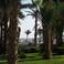 Shedwan Golden Beach,