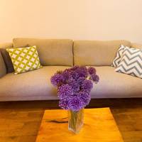 Maygut Apartments and Rooms 