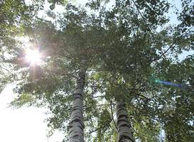 Guest Accommodation Bakic 
