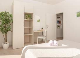 Apartments Olive Tree 