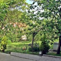 Guest House Vojinovic 