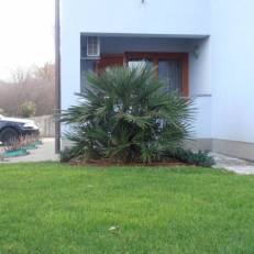 Apartments Kvarner 