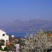 Apartments Zrnic 