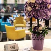Hotel City Code 