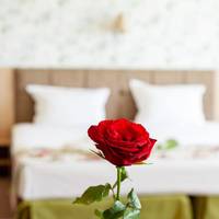 Alliance Hotel 