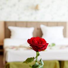 Alliance Hotel 
