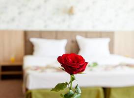 Alliance Hotel 