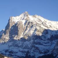 Chalet Spinne 