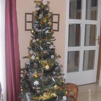 Hotel Emona 