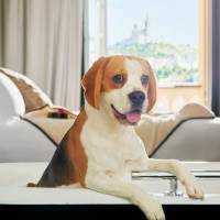 InterContinental Marseille - Hotel Dieu 