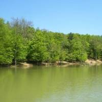 Hotel Le Ginestre Beauty&Wellness 