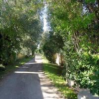 Apartment Espadon Saint-Tropez 