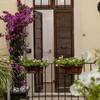 Hotel Navona