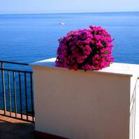 Dolce Vita Bed and Breakfast