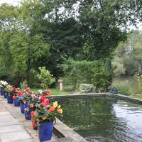 The Willows Bed & Breakfast 
