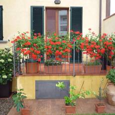 Bed And Breakfast Loriana 