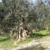 Casa Giulia Country House 
