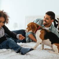 Citadines Wilson Toulouse 