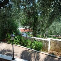 Althea Village Residence 