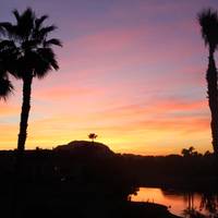 Hotel Husa Alicante Golf 