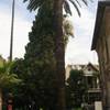 Villa Aramis Guesthouse 